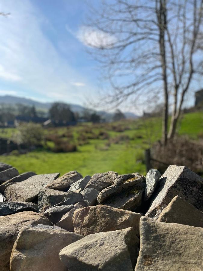 Trawsfynydd Stone Cottage Exterior foto