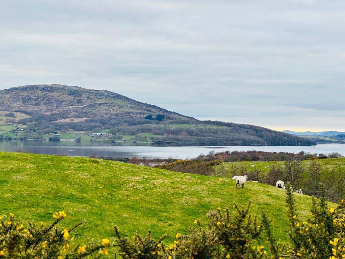 Trawsfynydd Stone Cottage Exterior foto